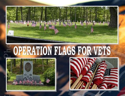 2025 Veterans Day Flag Placement