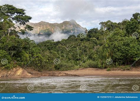 amazon river basin