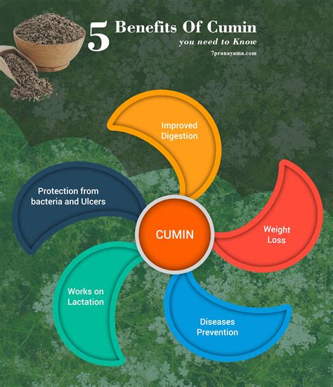 Benefits of Cumin (Jeera) for Health, Skin, and Hair You Need To Known