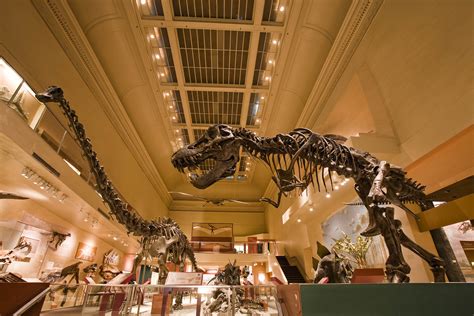 Smithsonian’s National Museum of Natural History to Build New Dinosaur ...