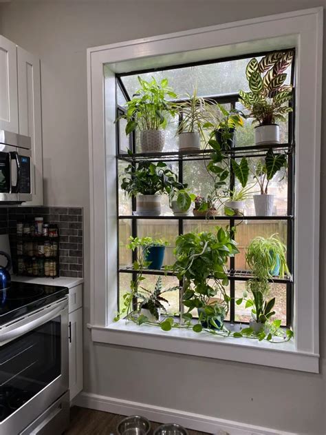 26 Indoor Window Shelf Ideas For Plants Artofit