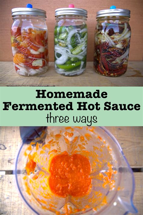 How To Make Fermented Hot Sauce Golden Thyme Homestead