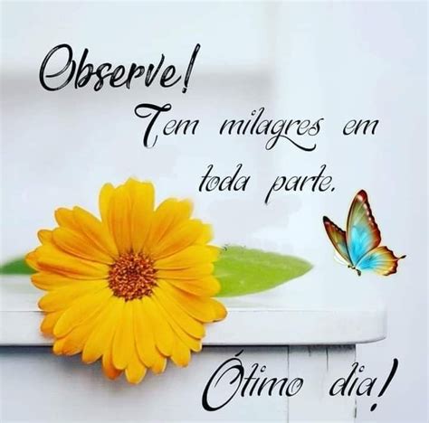 Pin De Tania Mara A Silva Em Bom Dia Bom Dia Chico Xavier Frases E