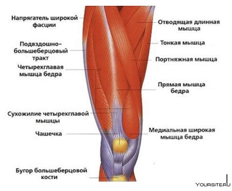 Боль в колене. | rheumatodoc | Дзен