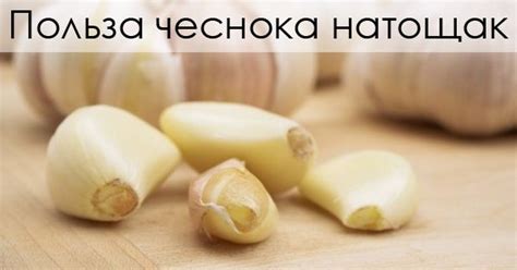 Польза чеснока натощак