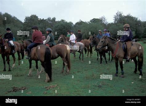 Horse Riders In The New Forest Stock Photo Alamy