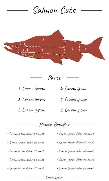 Plantilla De Diagrama De Cortes De Salmón Vector Premium