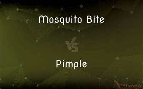 Mosquito Bite Vs Pimple — What’s The Difference