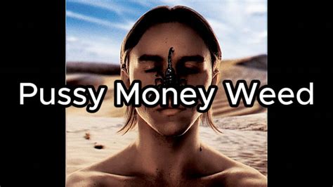 Tommy Cash Pussy Money Weed Lyrics YouTube