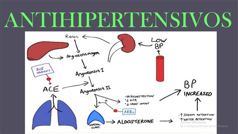 Antihipertensivos Clasificaci N Y Mecanismos De Acci N Youtube