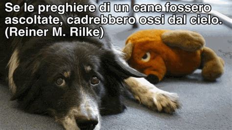 Se Le Preghiere Di Un Cane Fossero La Stampa