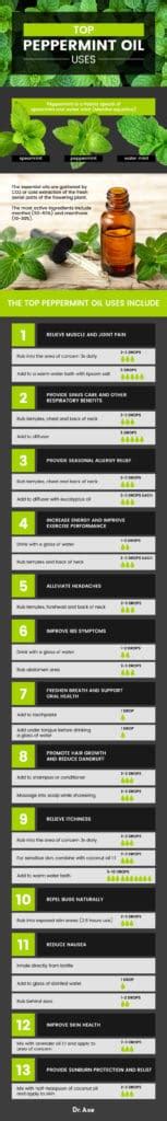 Top 15 Peppermint Oil Uses And Benefits For Gut Health Headaches