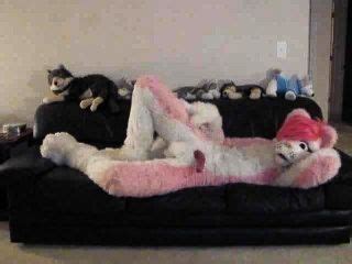 Furry Sex Hotntubes Porn