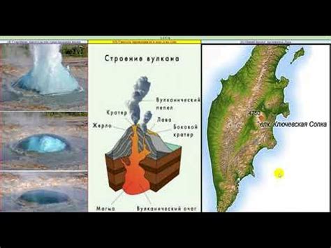 Общий предок ЛУКА - YouTube