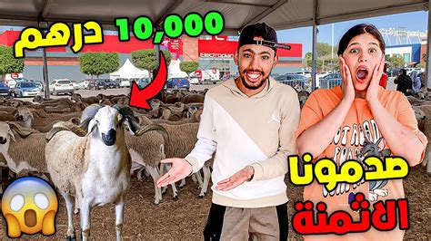 أخيرا رحلة البحت عن خروف العيد🐏خديجة صدمها حيت غالي💔😲 Youtube