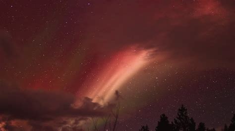 Mysterious aurora-like phenomenon 'STEVE' appears…