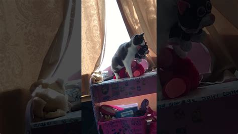 Sunny Leones Pussy Youtube