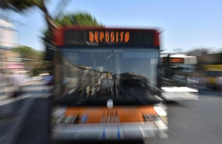 Bus Driver Had Sex With Passenger English ANSA It