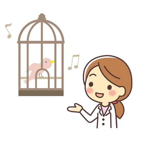 鳥診療（一次診療） | ひいらぎ動物病院