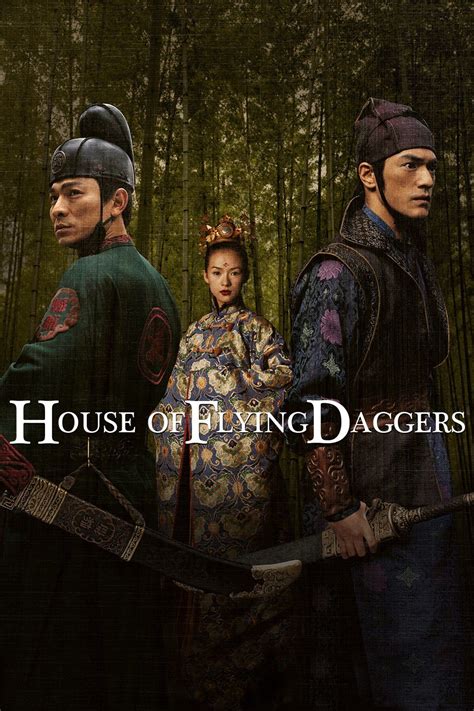 House Of Flying Daggers Costume