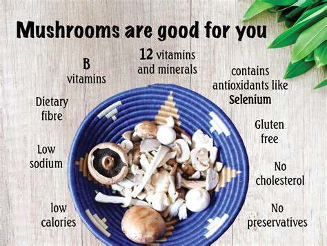 Future Diets Will Emphasize What Does Mushrooms Do For The Body Cells - RYZE Superfoods