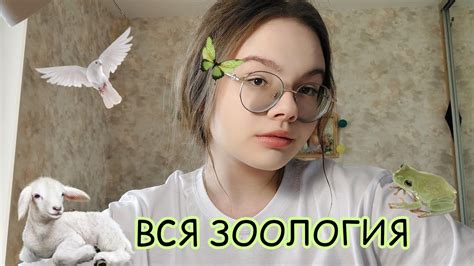 ВСЯ ЗООЛОГИЯ для ОГЭ из Рохлова - YouTube
