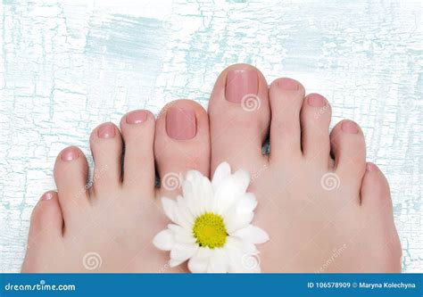 Female Feet With Nude Pedicure Stock Image Image Of Lifestyle Fall