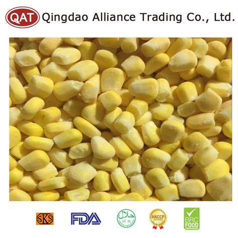 New Crop China Frozen Sweet Corn Kernels Iqf Corn With Kosher