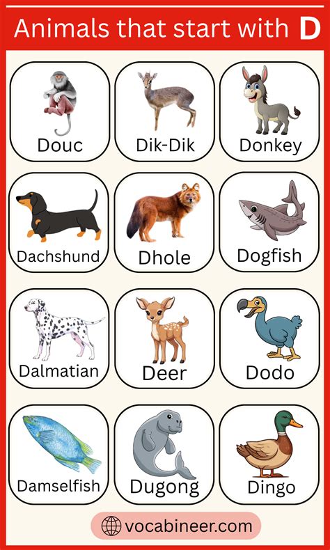 Animals That With D - 180+ Animals That Start with D with their Pictures