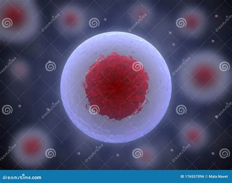 Nucleolus Nucleus 3d Stem Cell Stock Illustration Illustration Of