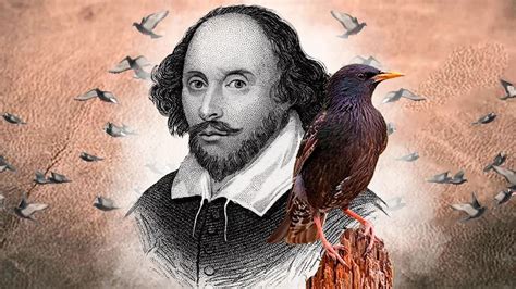 El Hombre Que Quería Llenar Con Los Pájaros De Shakespeare El Central Park En Nueva York Infobae