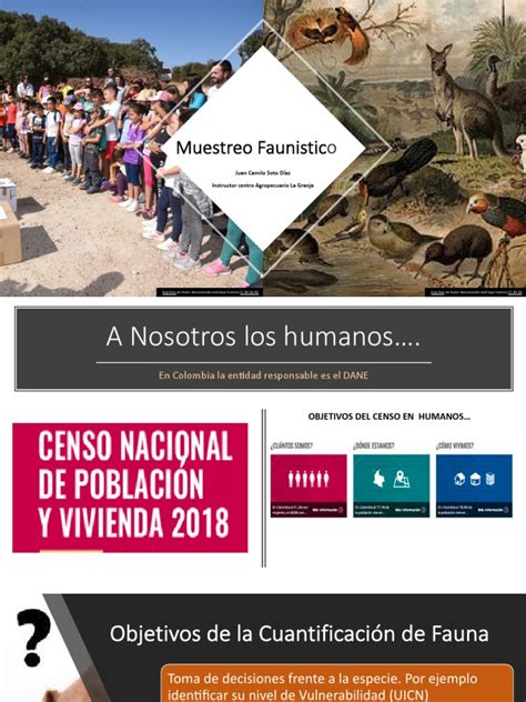 Muestreo Fauna | PDF | Fauna | Conservación
