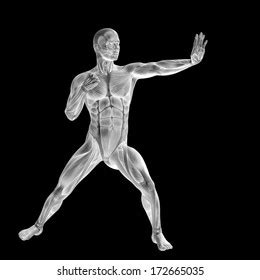 27 865 Naked Body Medical Images Stock Photos Vectors Shutterstock