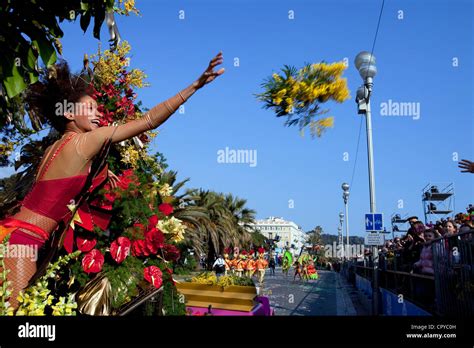 Bataille De Fleurs Banque De Photographies Et Dimages Haute