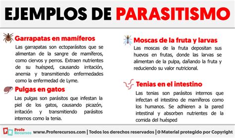Parasitismo O Que É - Ejemplos de Parasitismo