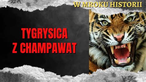 Tygrysica Z Champawat W Mroku Historii P Cda