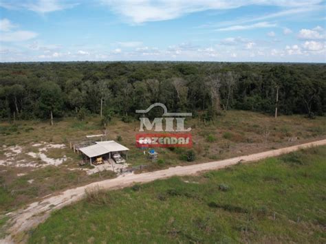 Mil Fazendas Fazenda para pecuÃria 448 alqueires 2 170 hectares