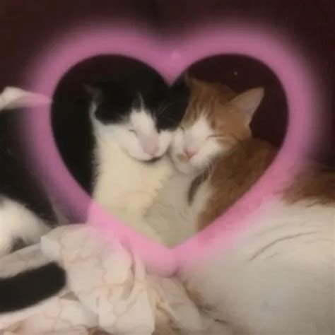 Stroke With Me Gay Big Cock Big Cock Porn Feat Parahearts Xhamster