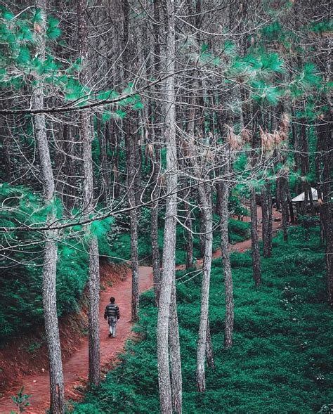 Destinasi Wisata Di Garut Yang Wajib Kamu Kunjungi