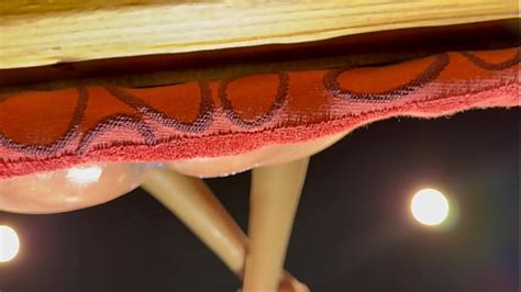 Black Pussy Birmingham Alabama Search XVIDEOS