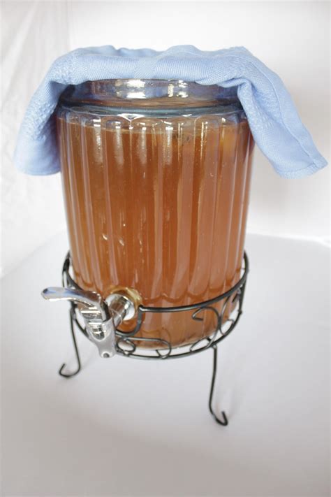 Continuous Brew Kombucha | It Takes Time