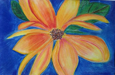 Chalk Pastel Flower Drawings - Lisa Offiler