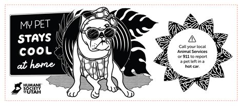 Illustrated Pet Sun Shade Design Psa Behance