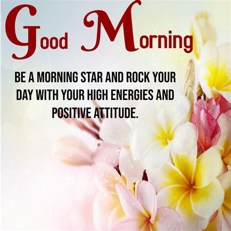 Morning Cards Quotes Good Morning Wishes Images Messages Quotes Hd