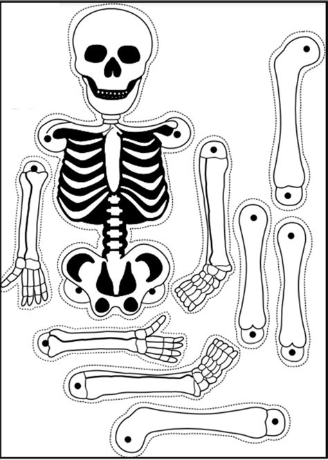 Moldes De Esqueleto Humano Para Imprimir
