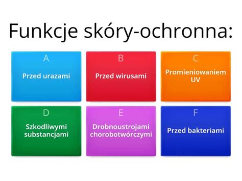 Budowa I Funkcje Sk Ry Kl Test