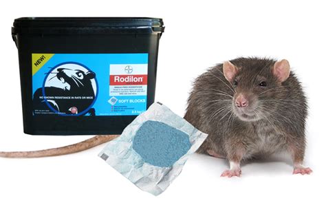 Rodenticide With No Known Resistance Approved For Use In And Around