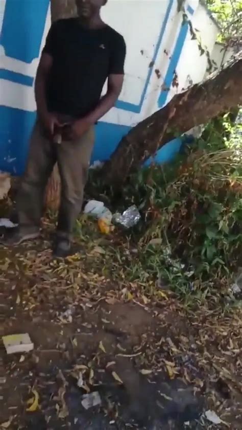 Oral Gay Hobo Homeless Man Happily Shows His ThisVid