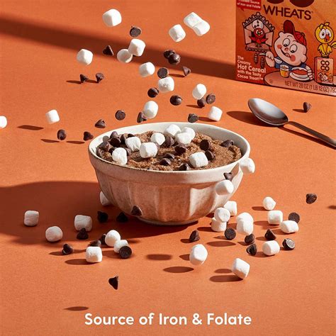 Malt O Meal Coco Wheats Hot Cereal Oz Pack Quick Cooking Cocoa Cereal Kosher Pareve