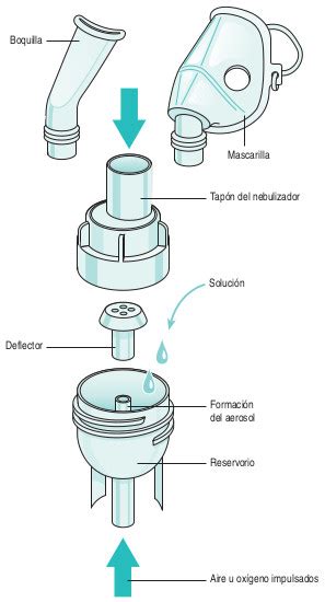 No Pretencioso Estar Confundido Izquierda Partes De Una Mascarilla De